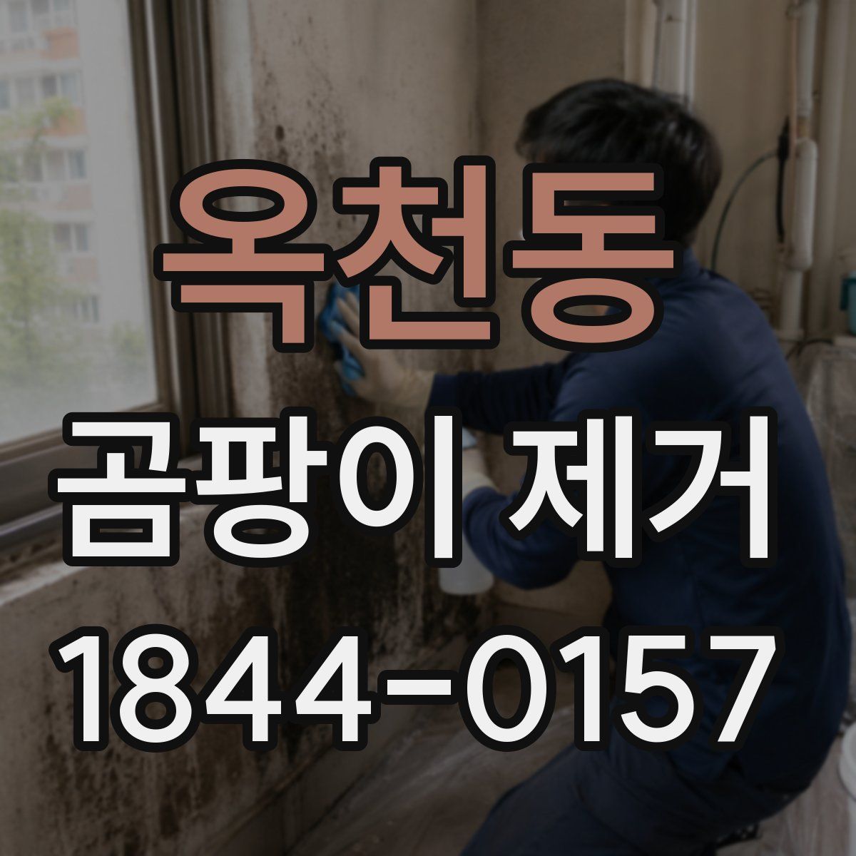 옥천동 곰팡이 제거