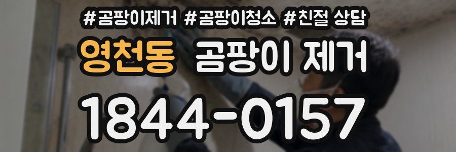 영천동 곰팡이 제거