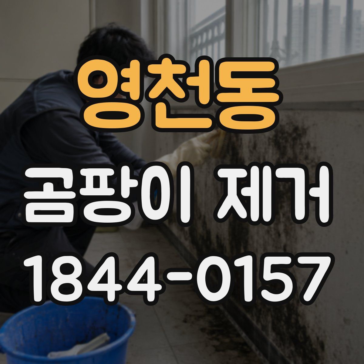 영천동 곰팡이 제거