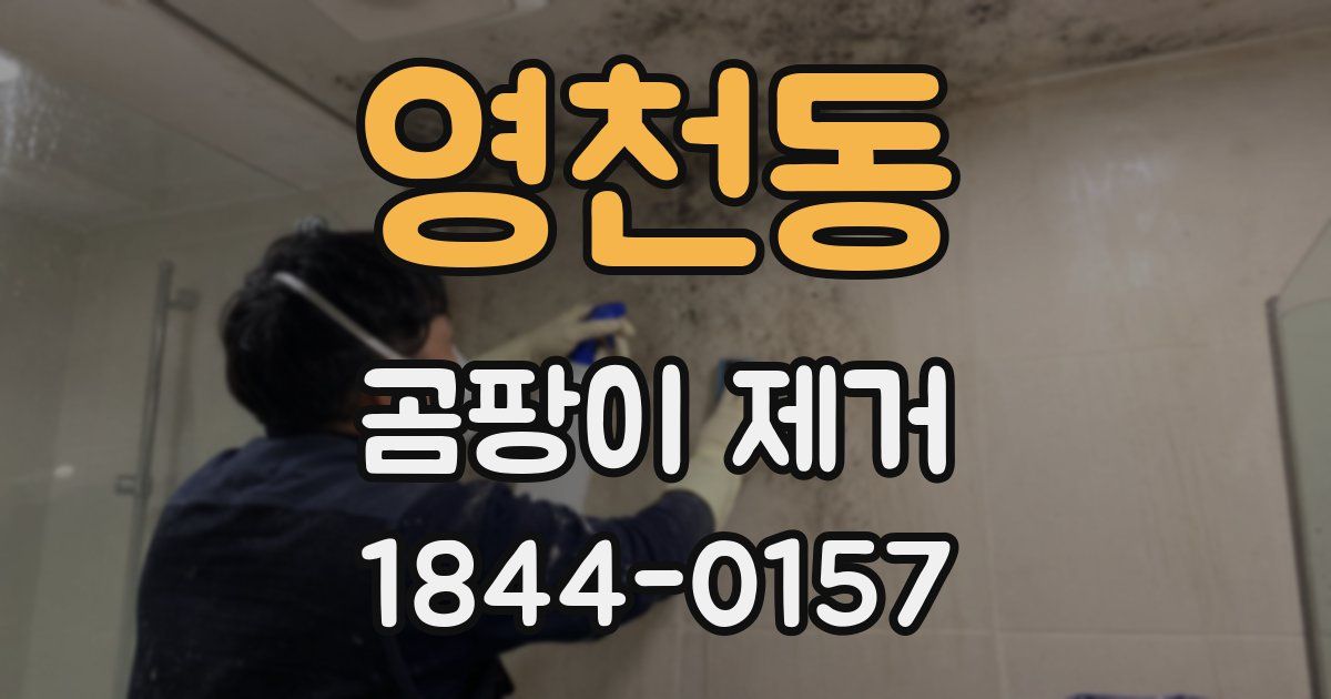 영천동 곰팡이 제거