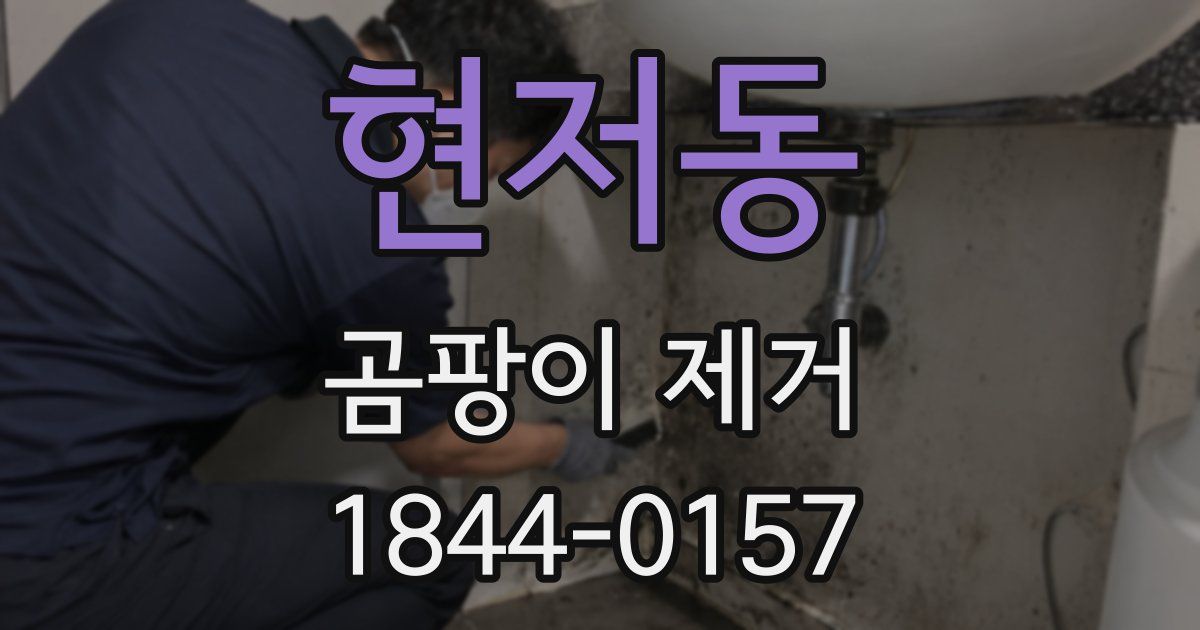 현저동 곰팡이 제거