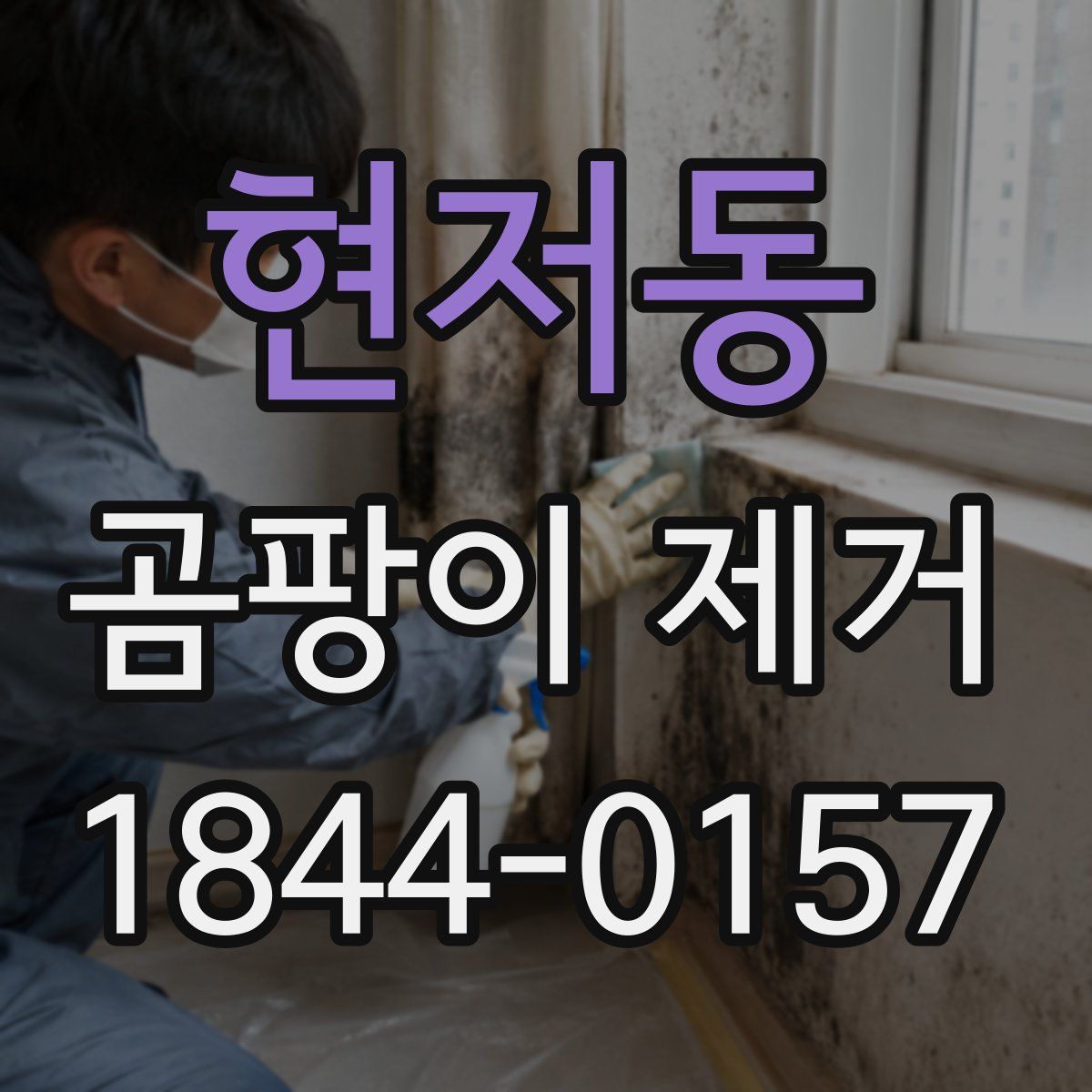 현저동 곰팡이 제거