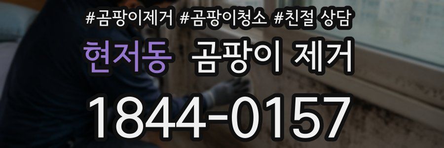 현저동 곰팡이 제거