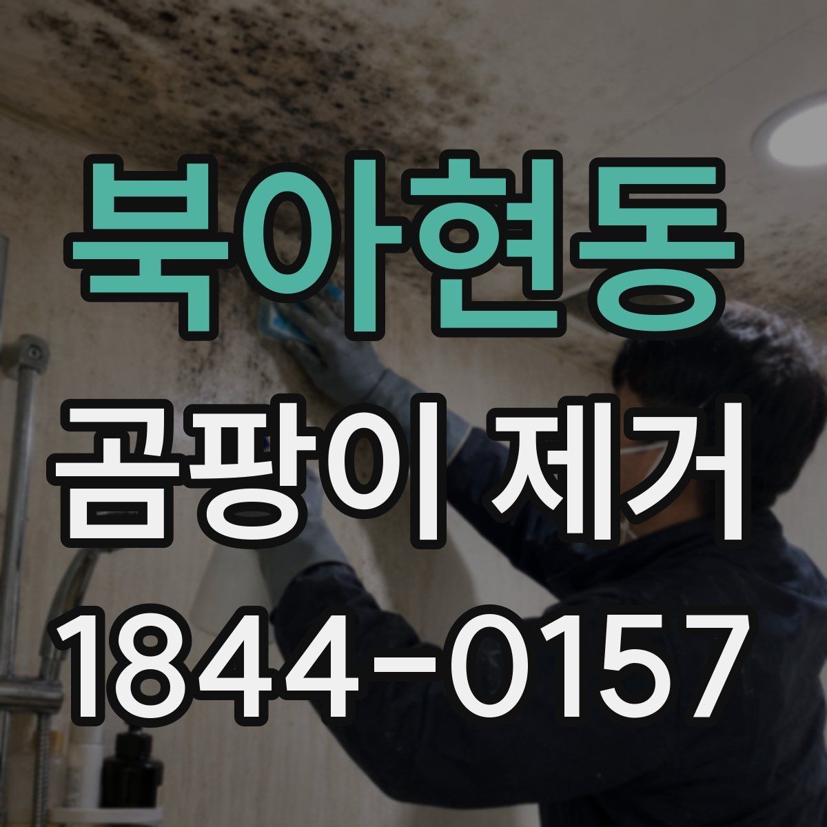 북아현동 곰팡이 제거 후 곰팡이 재발을 막는 습관