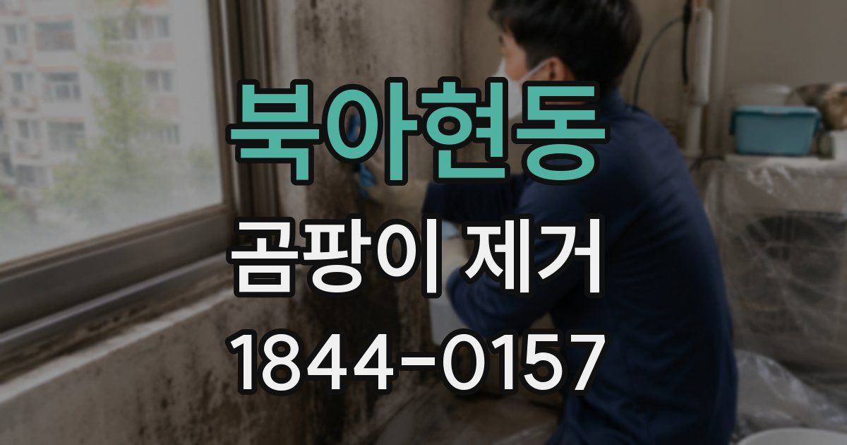 북아현동 곰팡이 제거