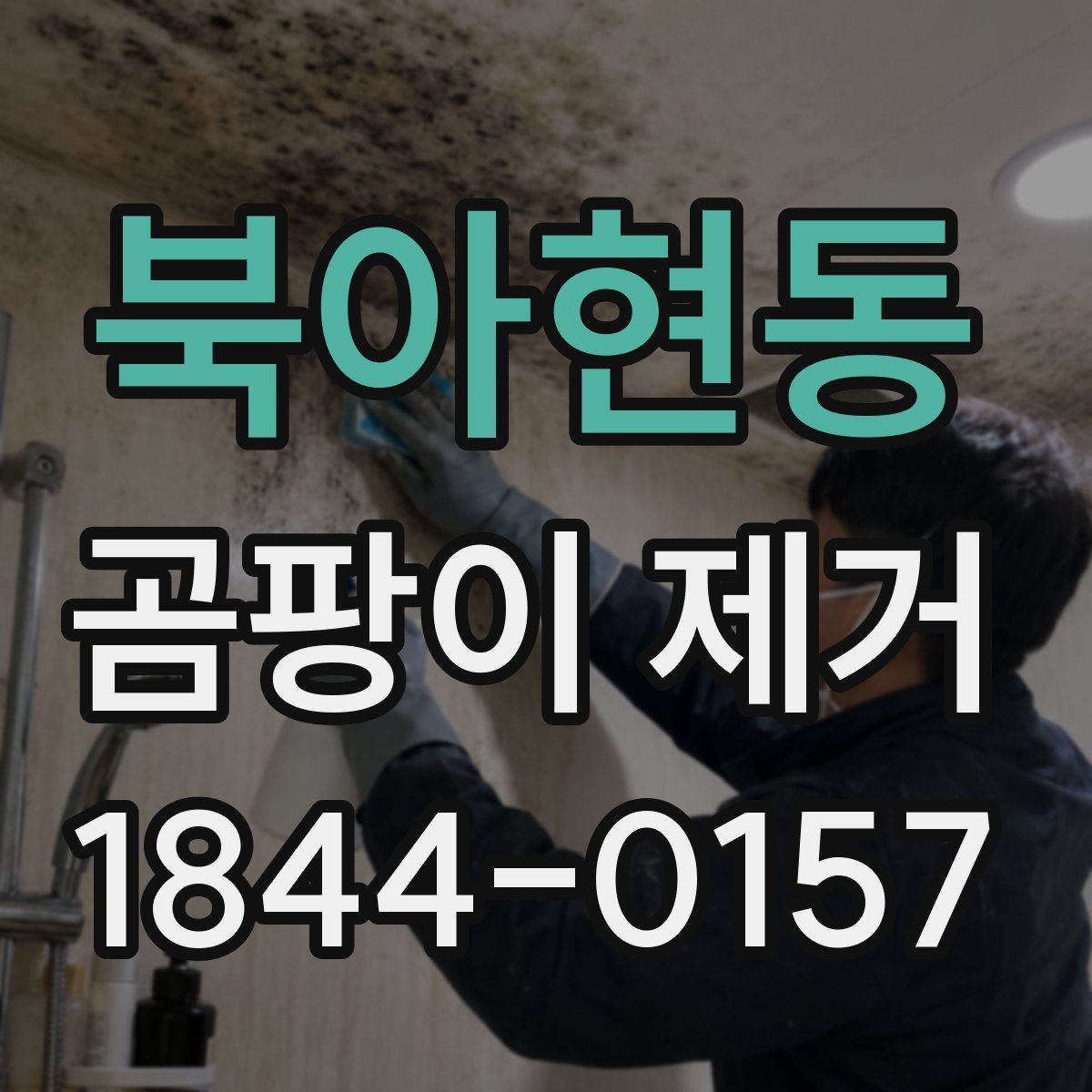 북아현동 곰팡이 제거