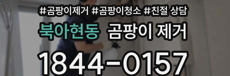 북아현동 곰팡이 제거