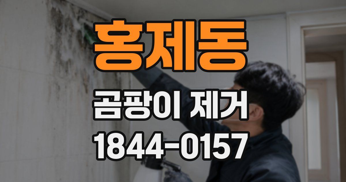 홍제동 곰팡이 제거