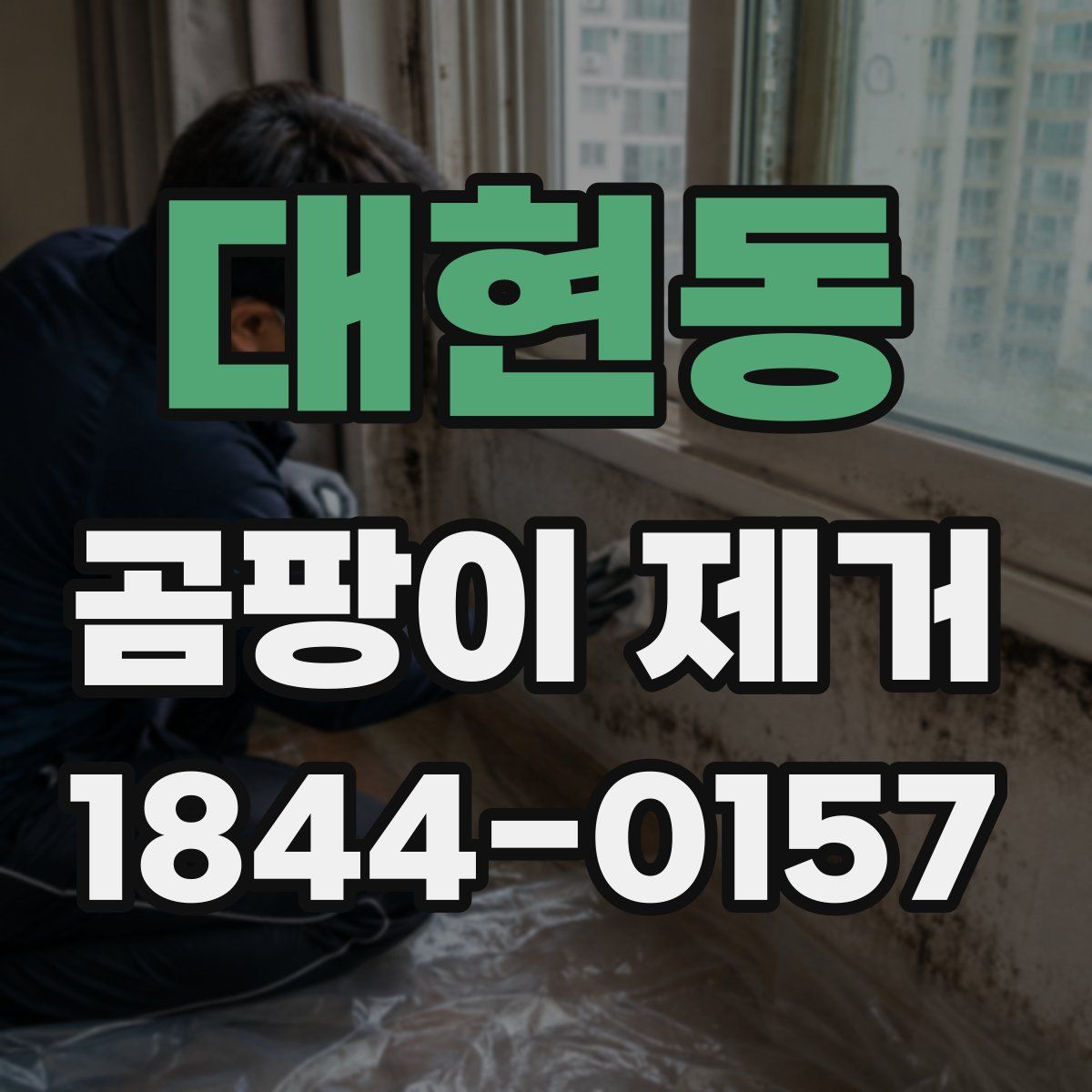 대현동 곰팡이 제거
