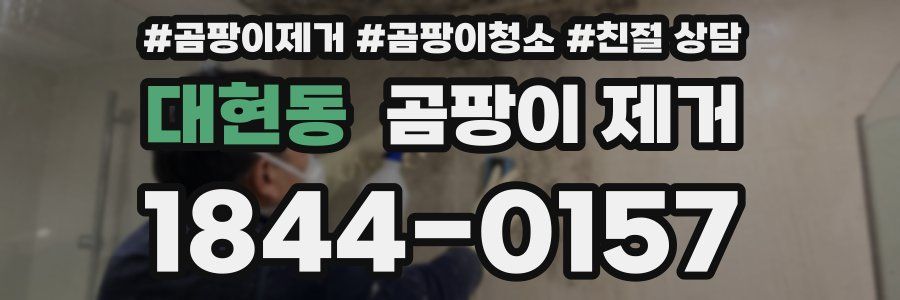 대현동 곰팡이 제거