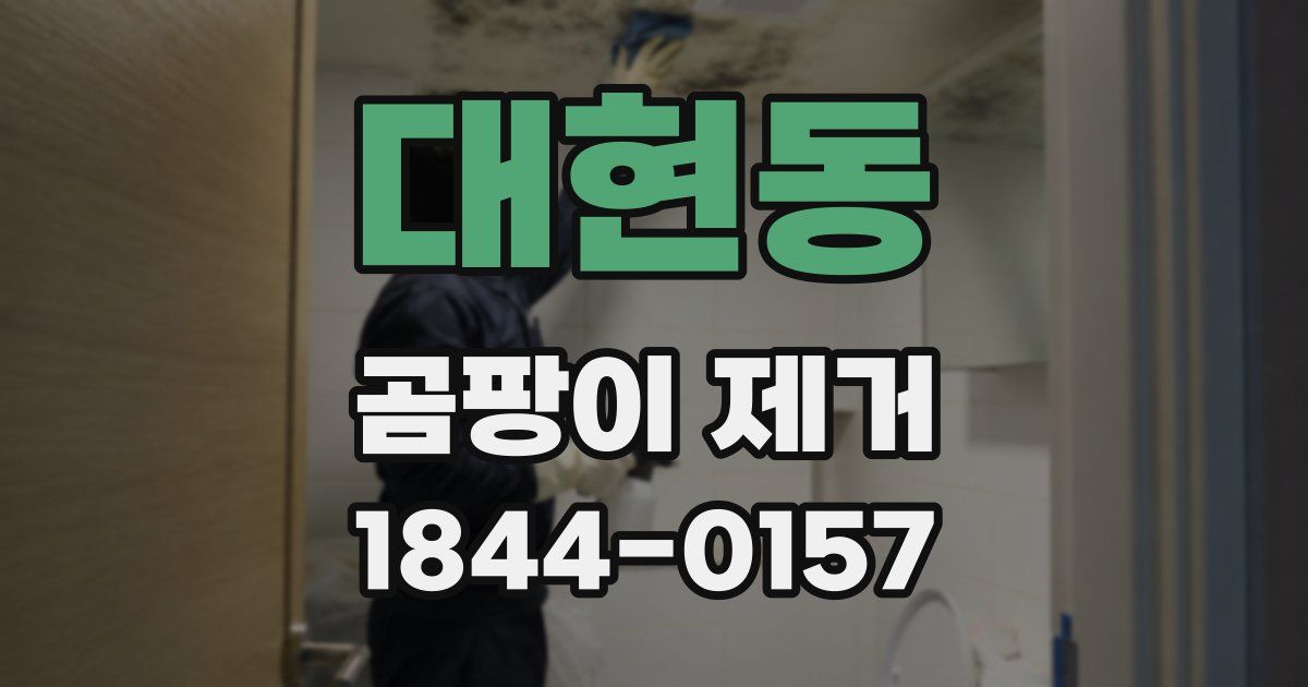 대현동 곰팡이 제거