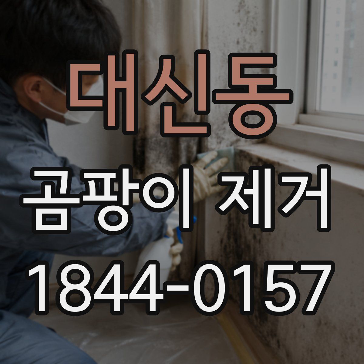 대신동 곰팡이 제거