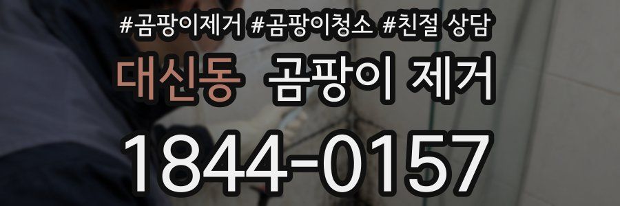 대신동 곰팡이 제거