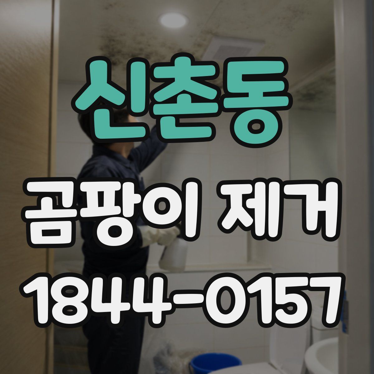 신촌동 곰팡이 제거