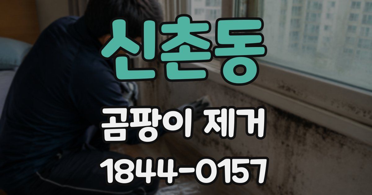 신촌동 곰팡이 제거