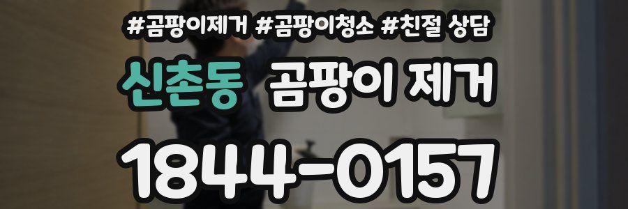 신촌동 곰팡이 제거