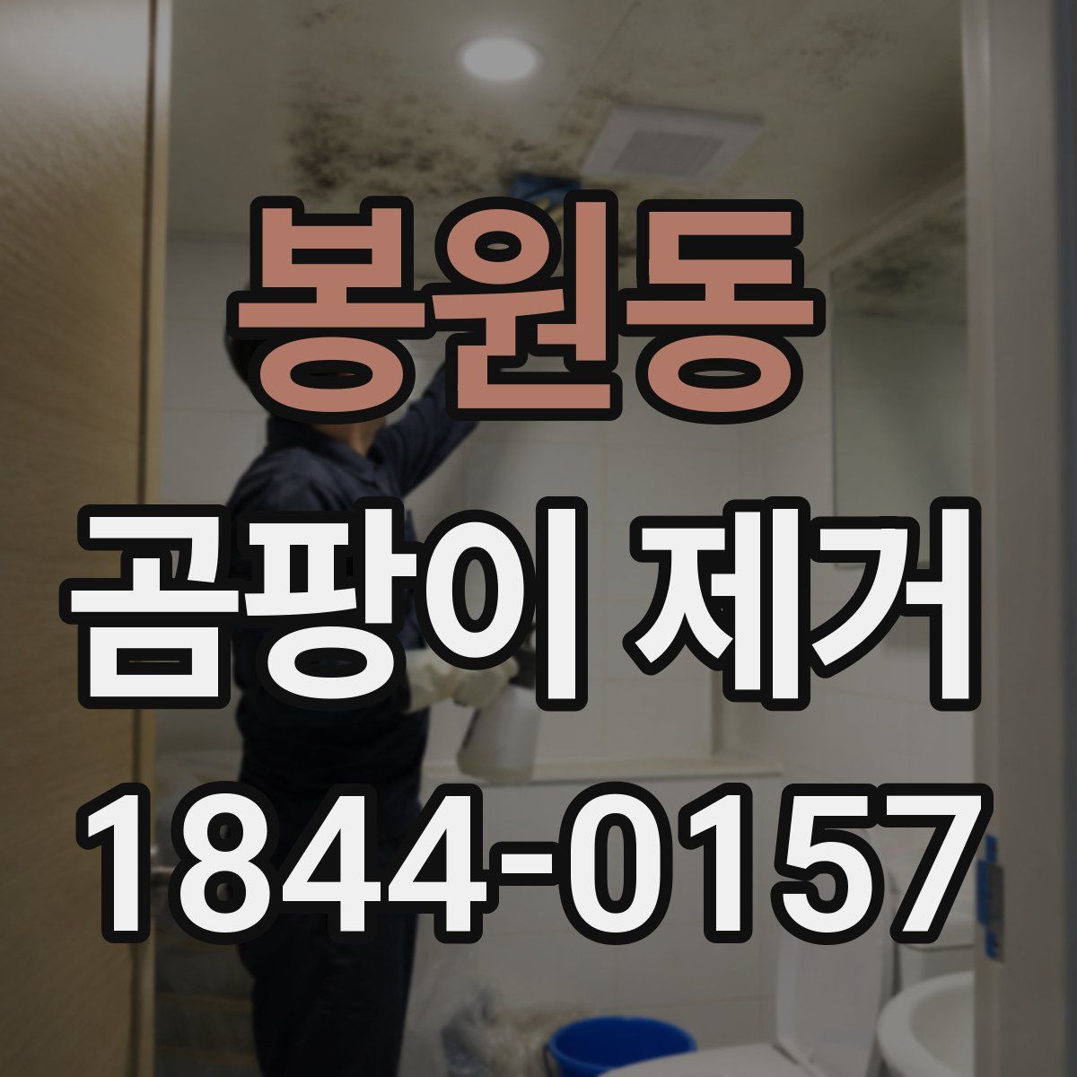 봉원동 곰팡이 제거