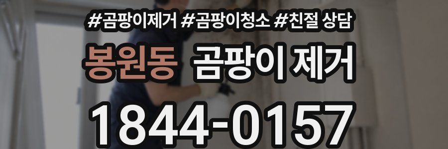 봉원동 곰팡이 제거