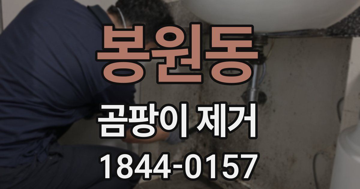 봉원동 곰팡이 제거