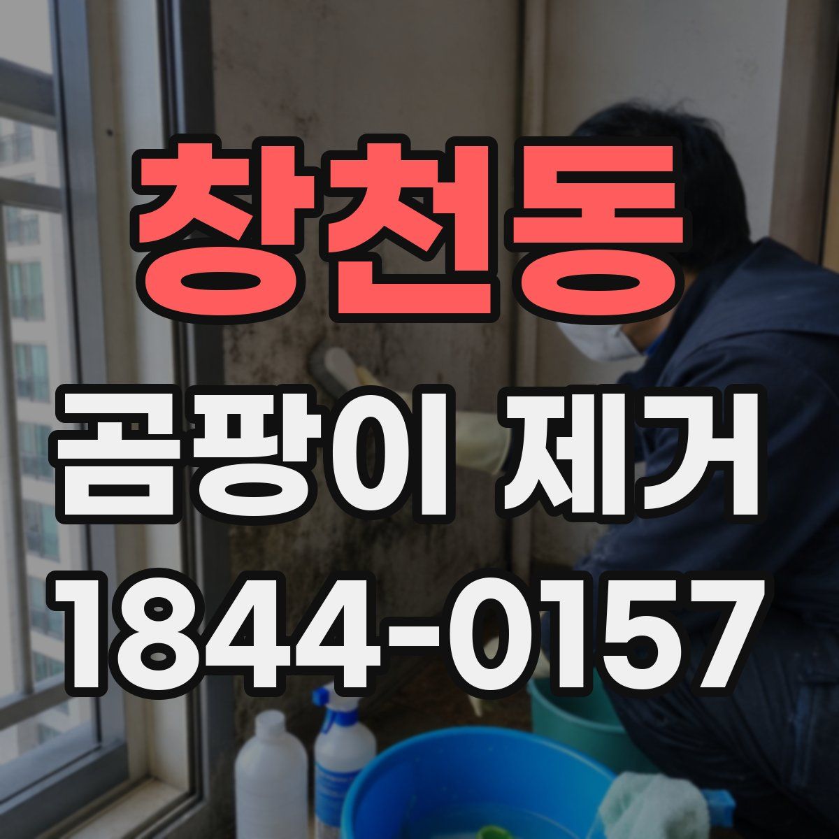 창천동 곰팡이 제거