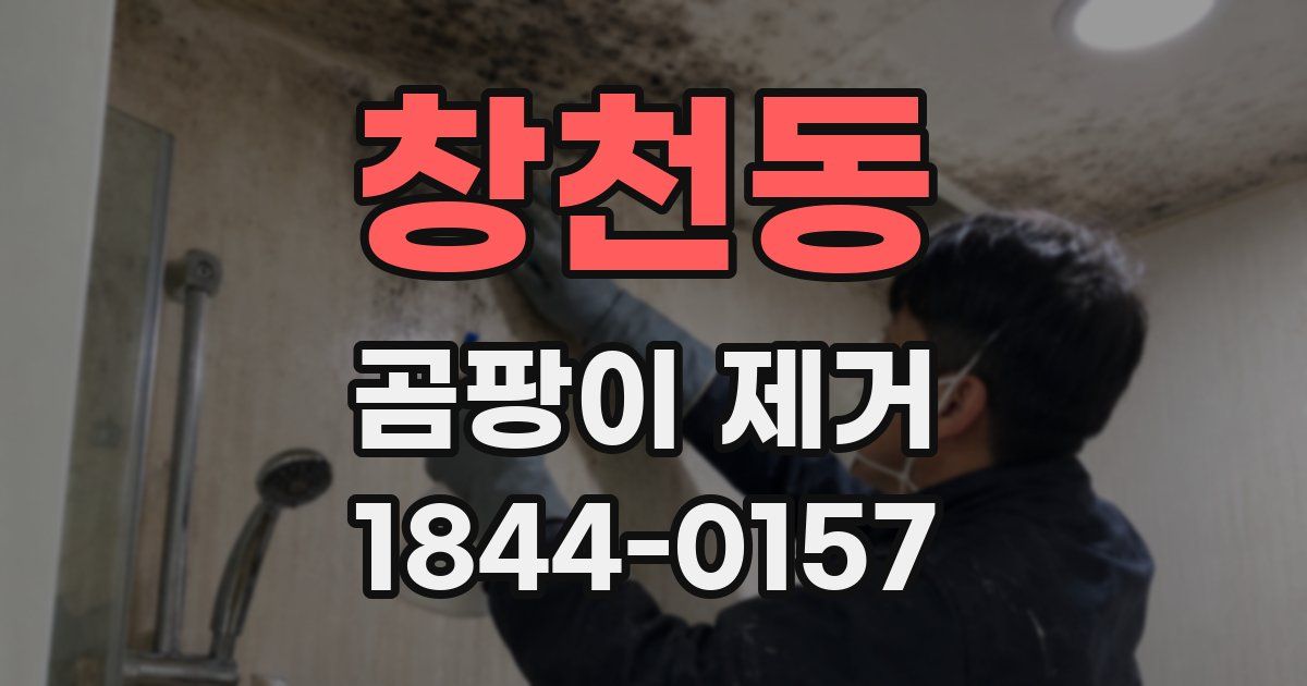 창천동 곰팡이 제거