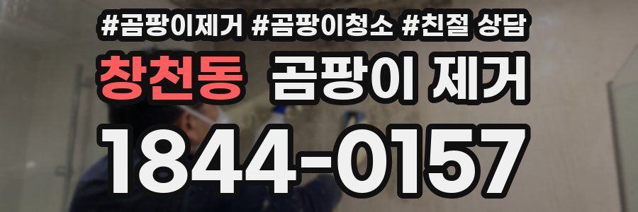 창천동 곰팡이 제거