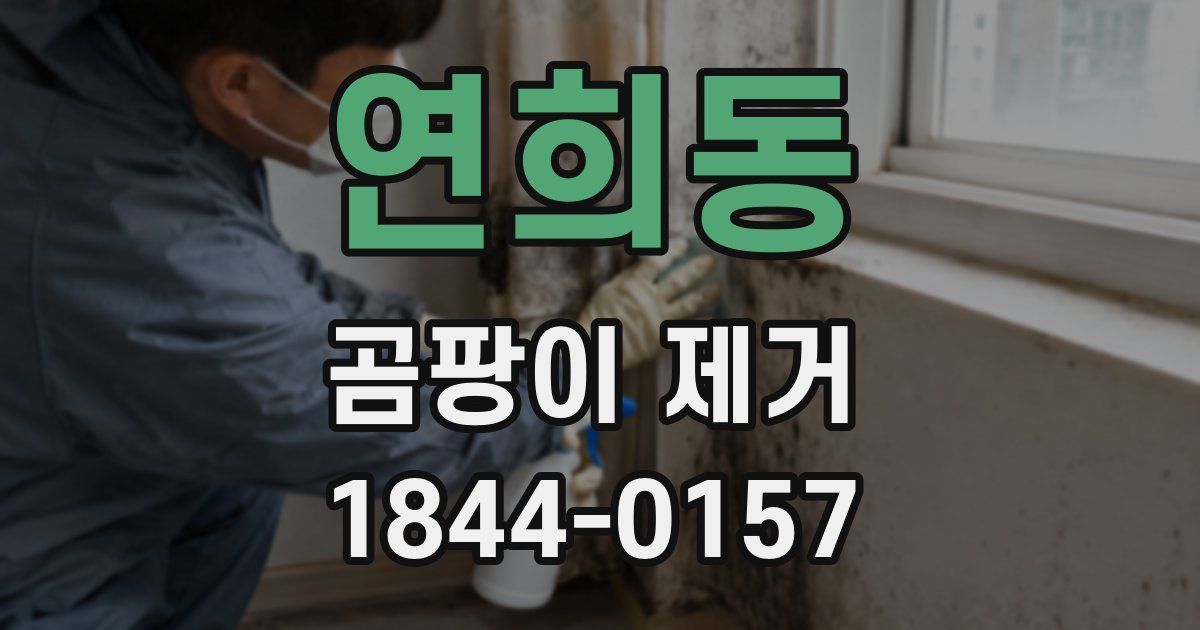연희동 곰팡이 제거