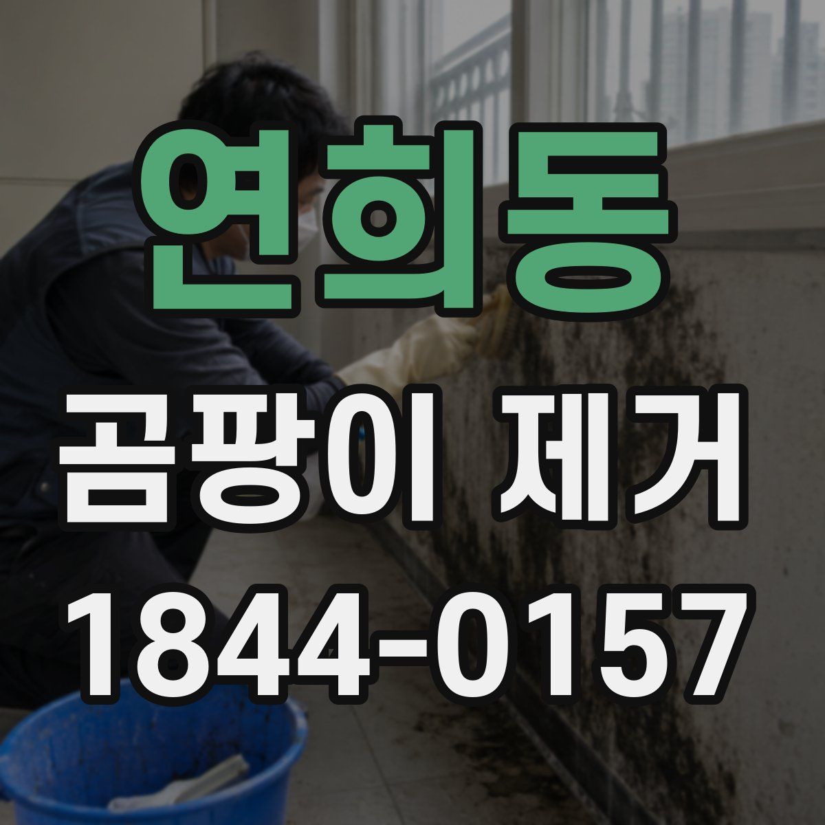 연희동 곰팡이 제거