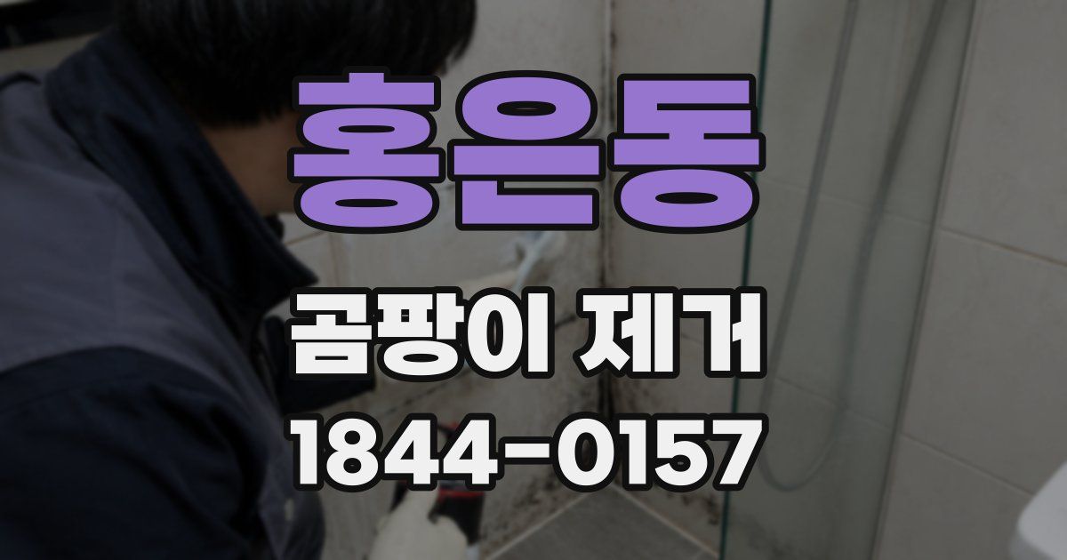 홍은동 곰팡이 제거