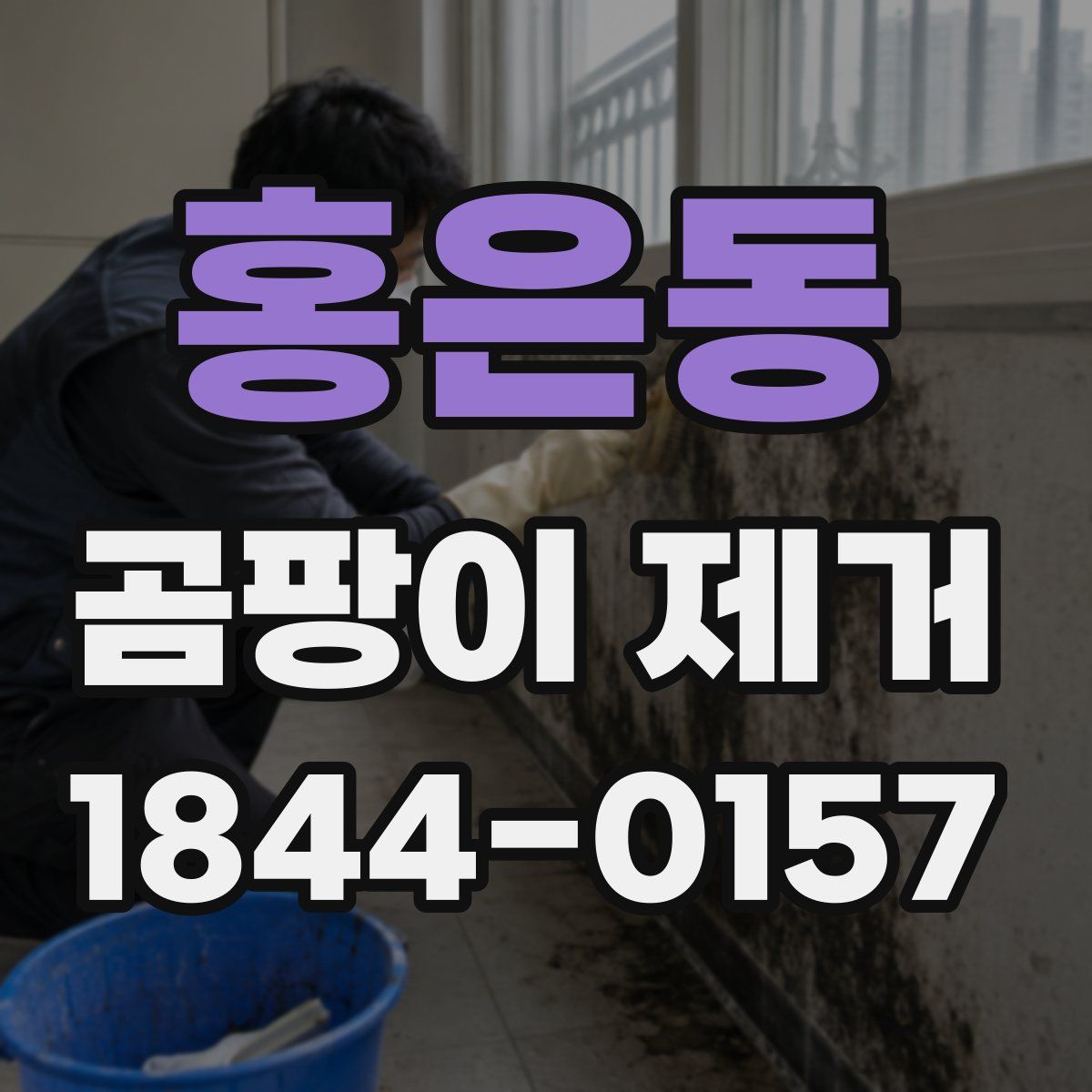 홍은동 곰팡이 제거