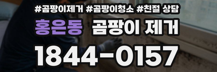 홍은동 곰팡이 제거