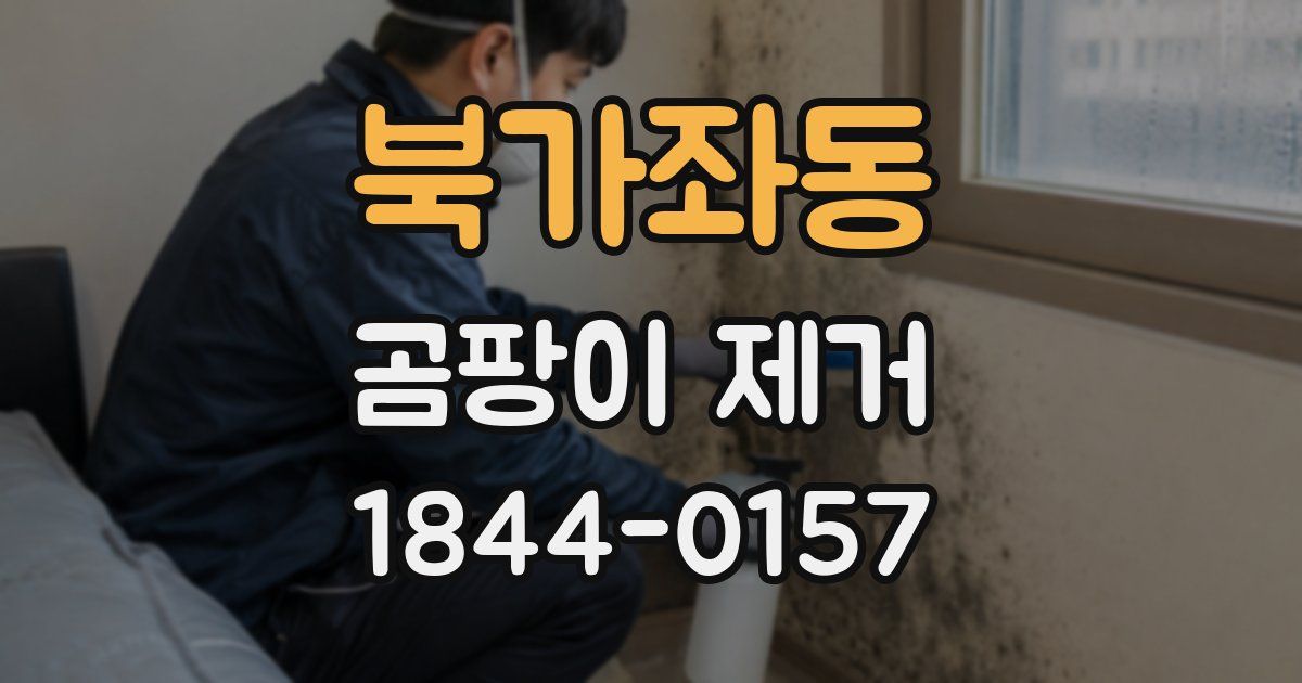 북가좌동 곰팡이 제거