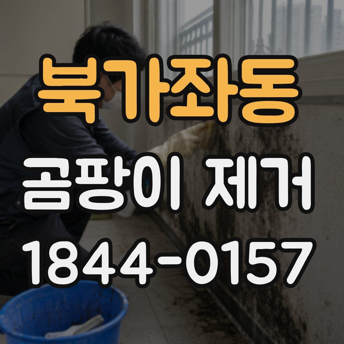 북가좌동 곰팡이 제거