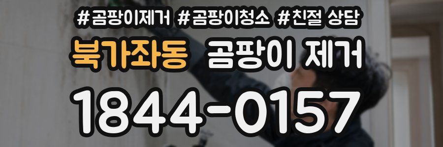 북가좌동 곰팡이 제거