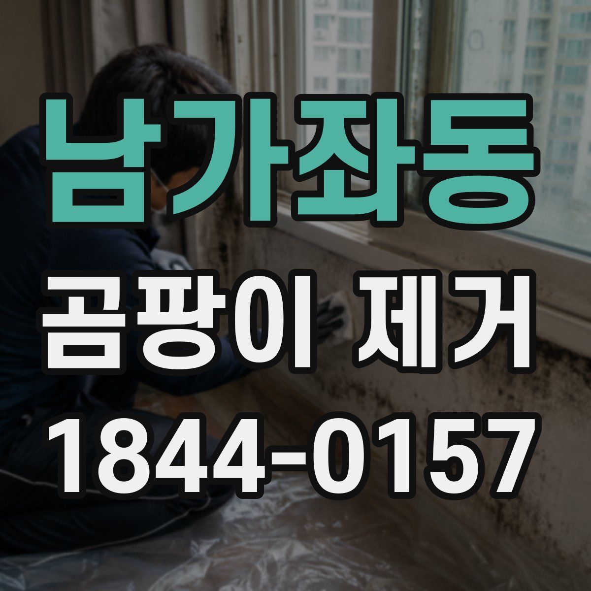 남가좌동 곰팡이 제거