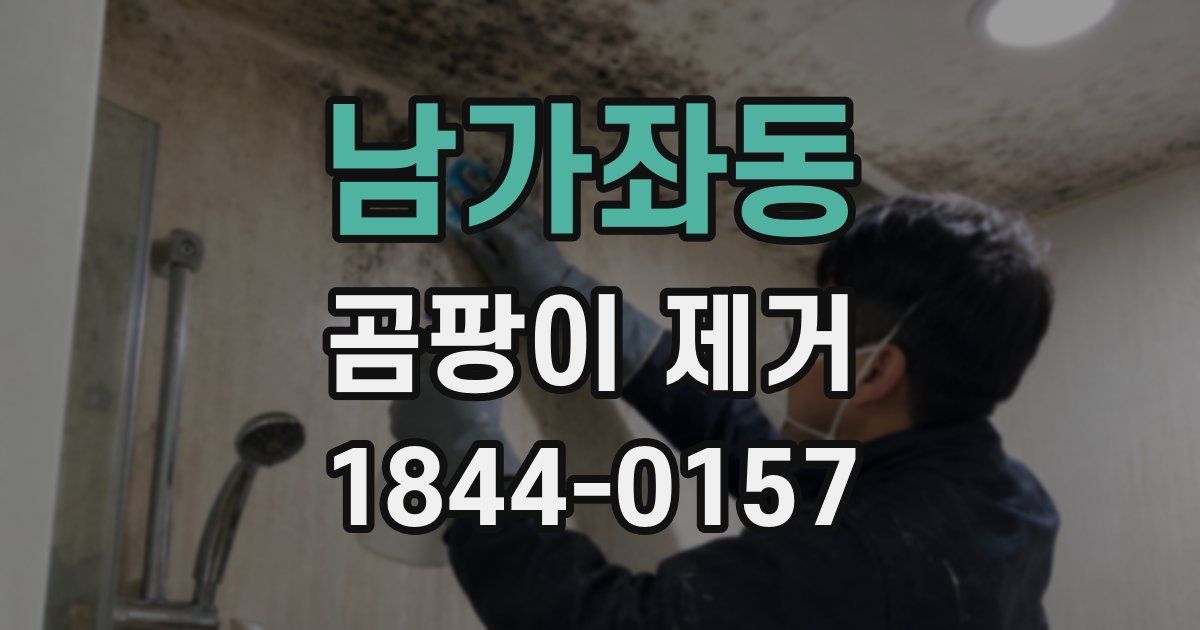 남가좌동 곰팡이 제거