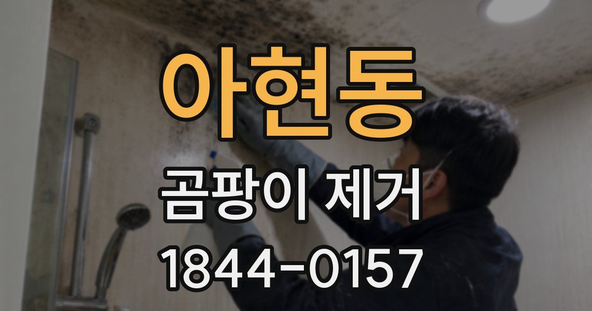 아현동 곰팡이 제거