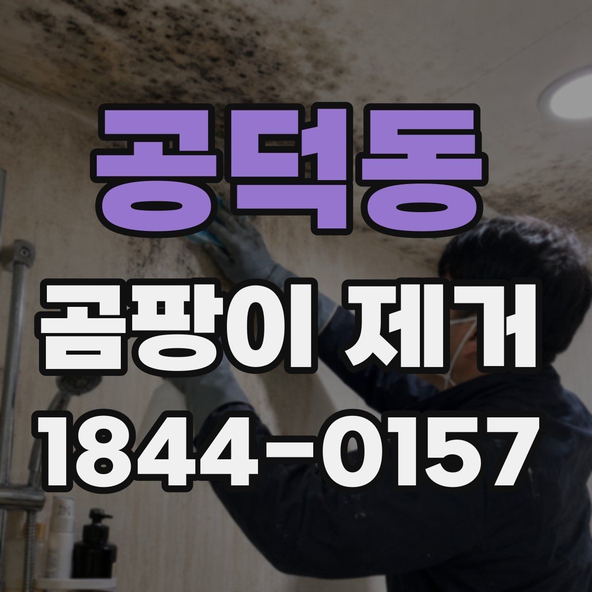 공덕동 곰팡이 제거 베란다 곰팡이 원인과 대처