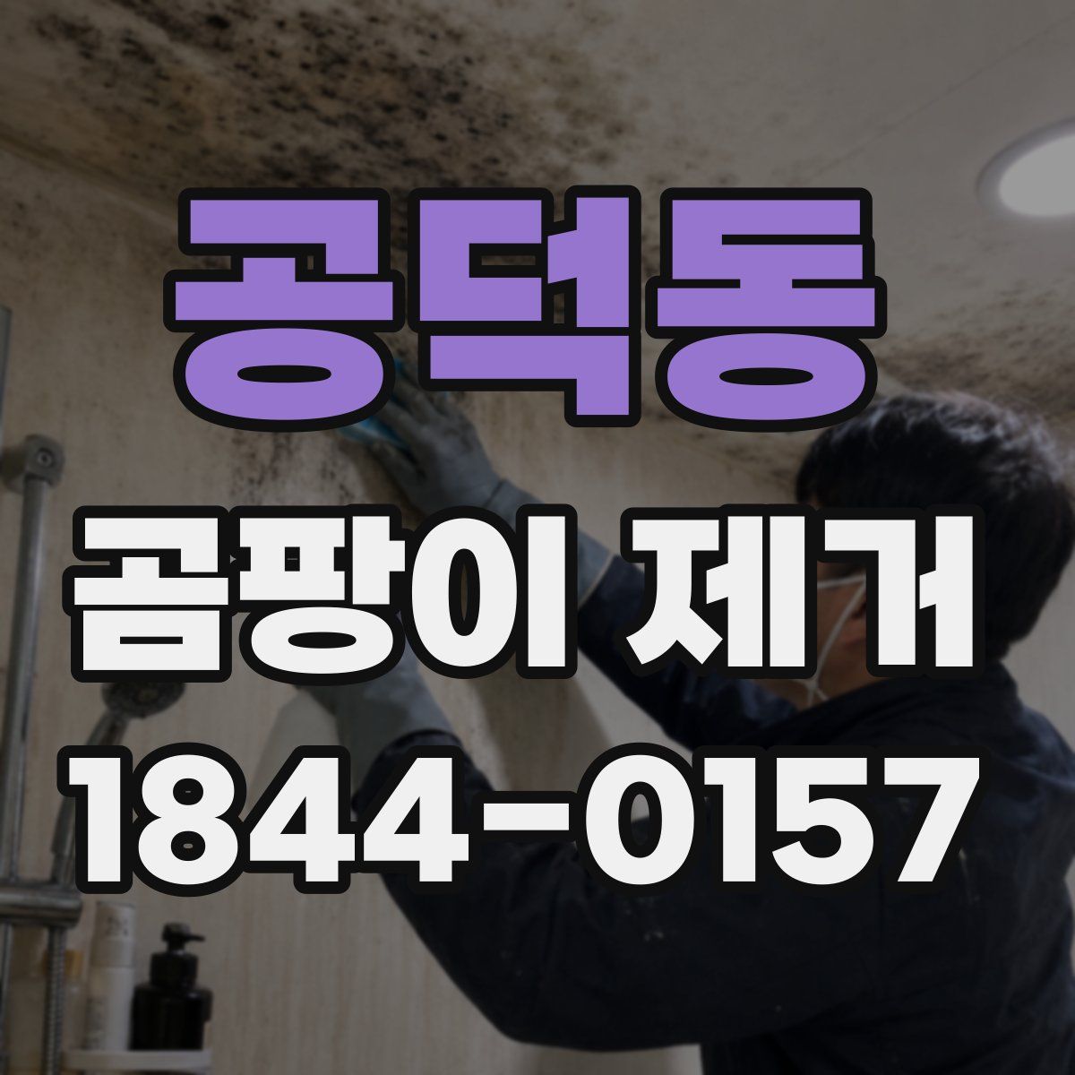 공덕동 곰팡이 제거