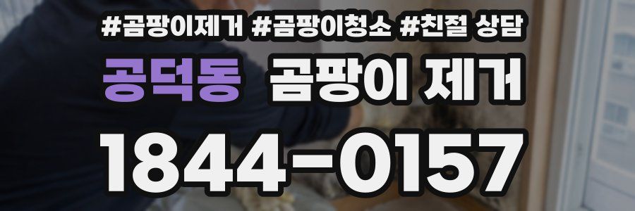 공덕동 곰팡이 제거