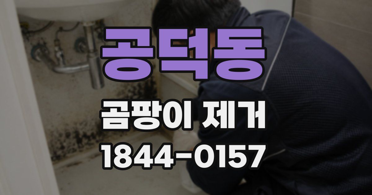 공덕동 곰팡이 제거