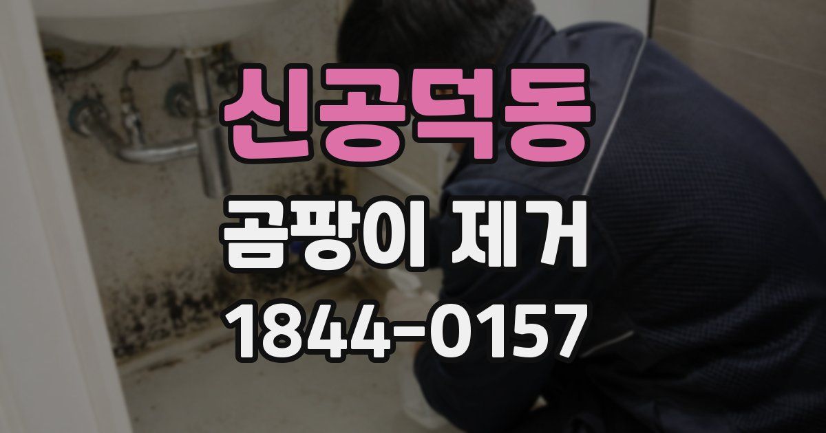 신공덕동 곰팡이 제거