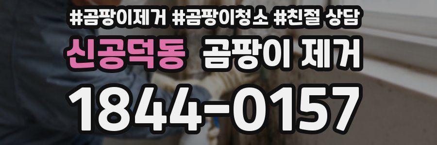 신공덕동 곰팡이 제거