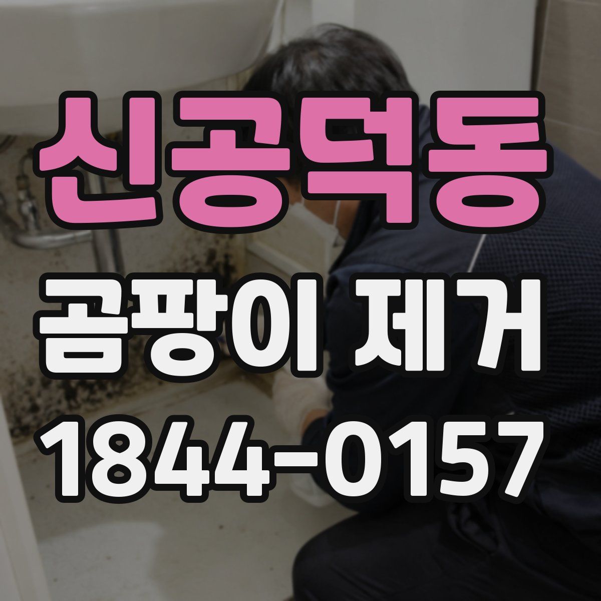 신공덕동 곰팡이 제거