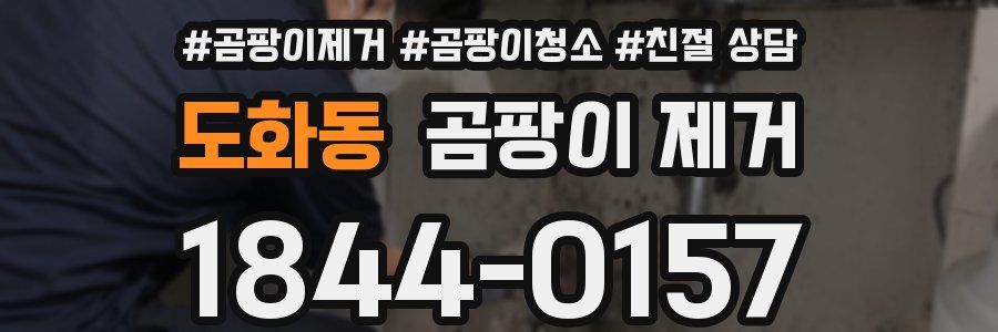 도화동 곰팡이 제거