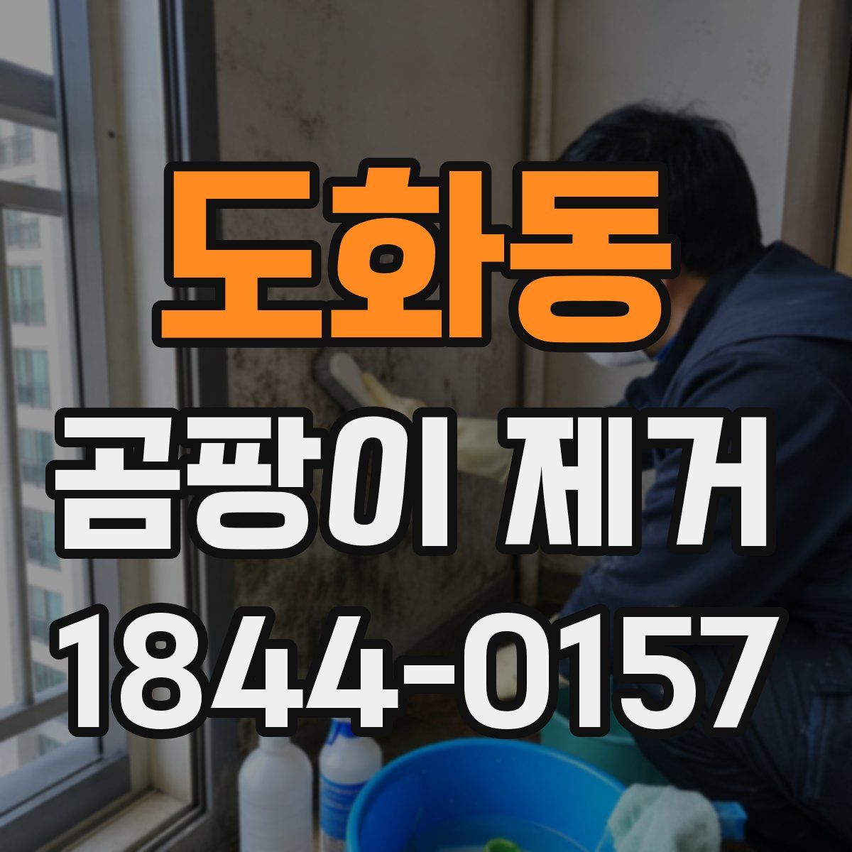 도화동 곰팡이 제거