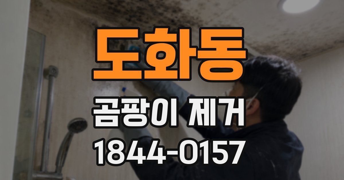 도화동 곰팡이 제거