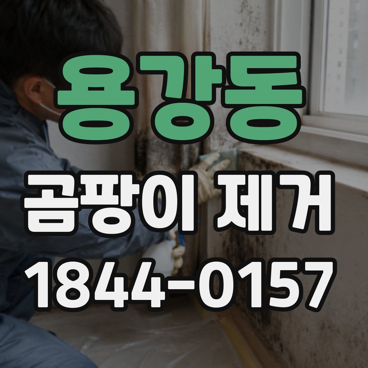 용강동 곰팡이 제거