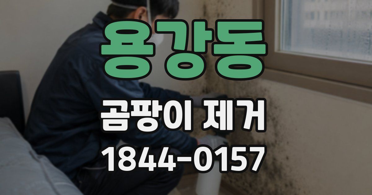 용강동 곰팡이 제거