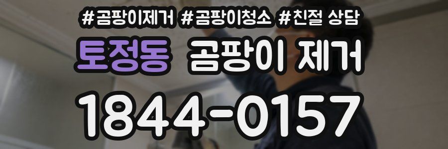 토정동 곰팡이 제거
